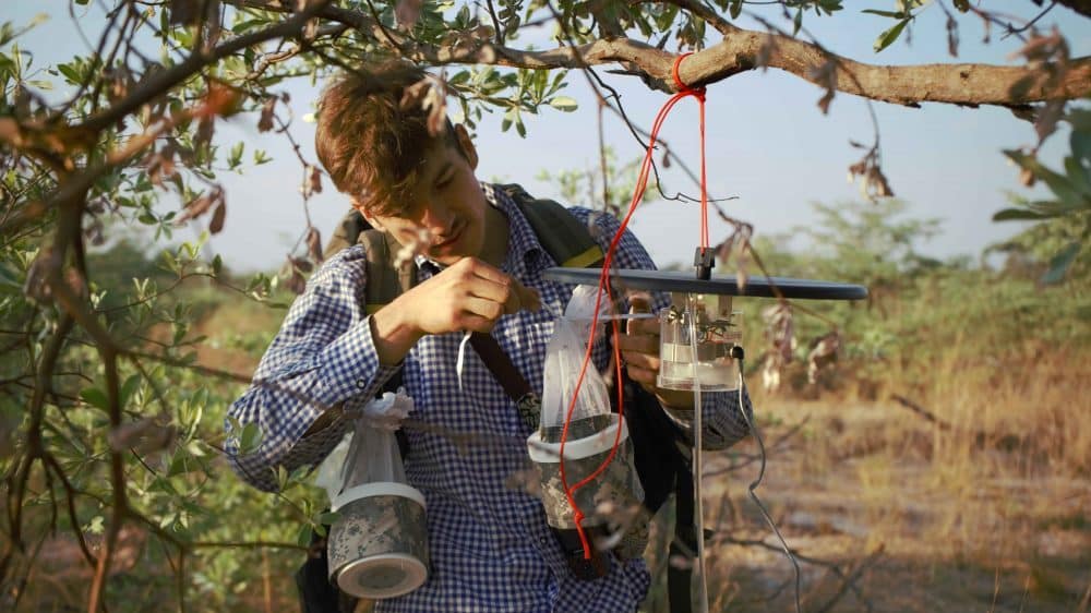 Catching mosquitoes with CDC Light Trap in north-eastern Namibia. Illustrative picture from file. Courtesy of Heiko Guggemos