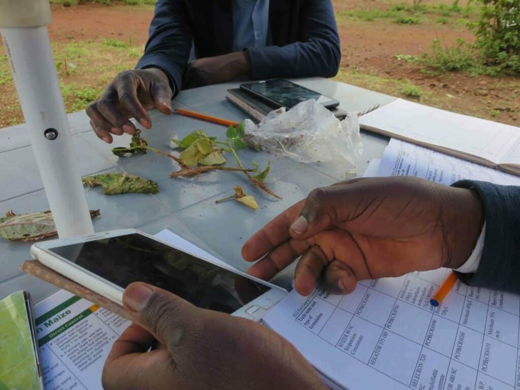 Diagnosis-and-data-collection-of-pests-and-diseases-using-tablets-Kenya
