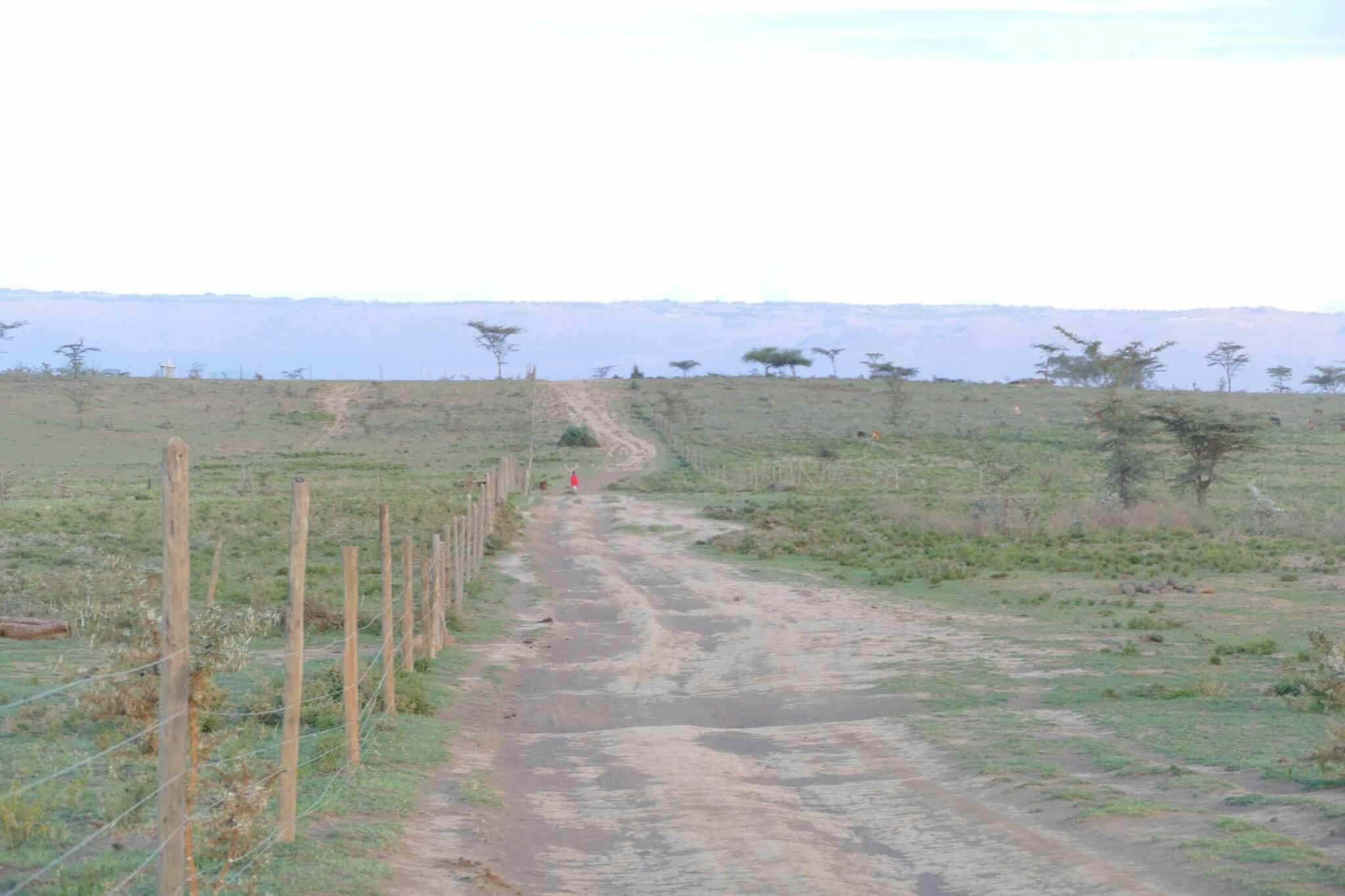 A road in rural Kenya