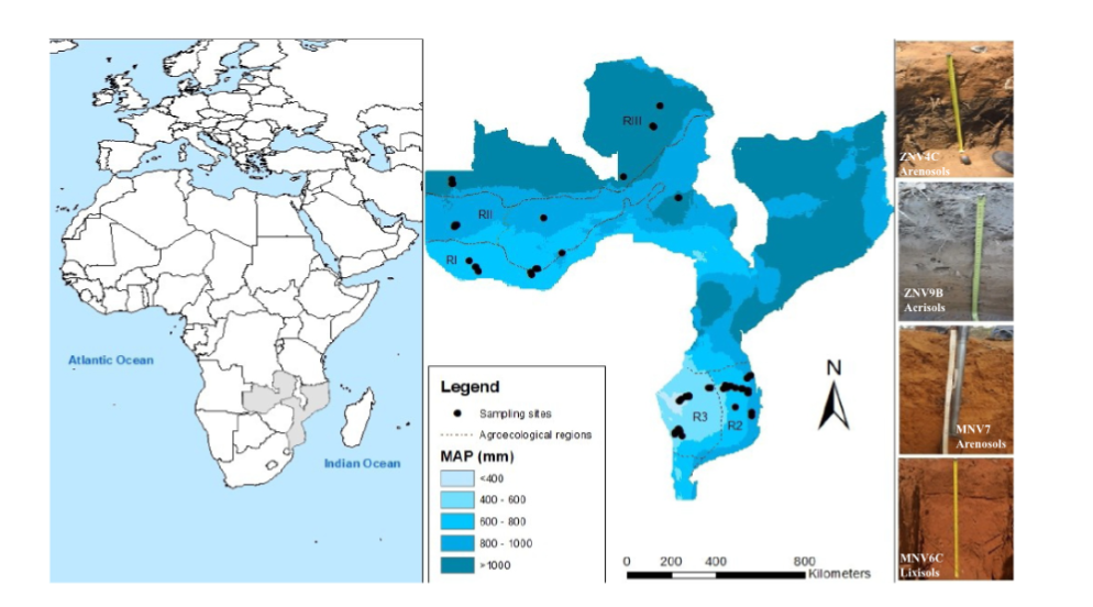 graphic taken from a scientific publication