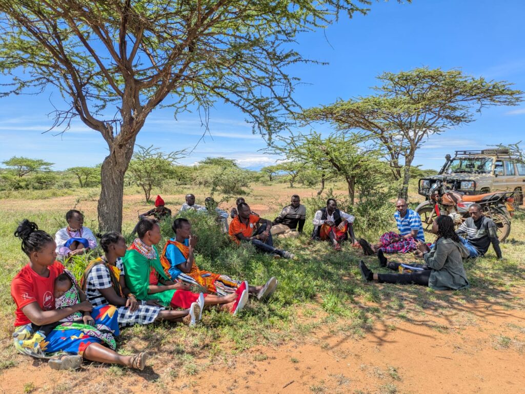group of people sitting under trees