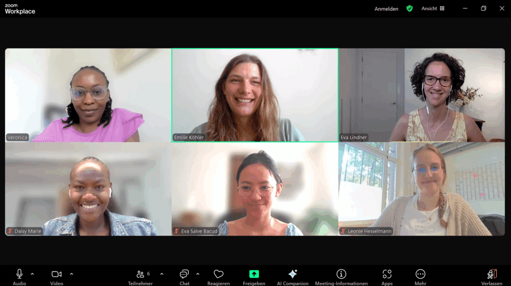 screenshot of the participants of a zoom meeting