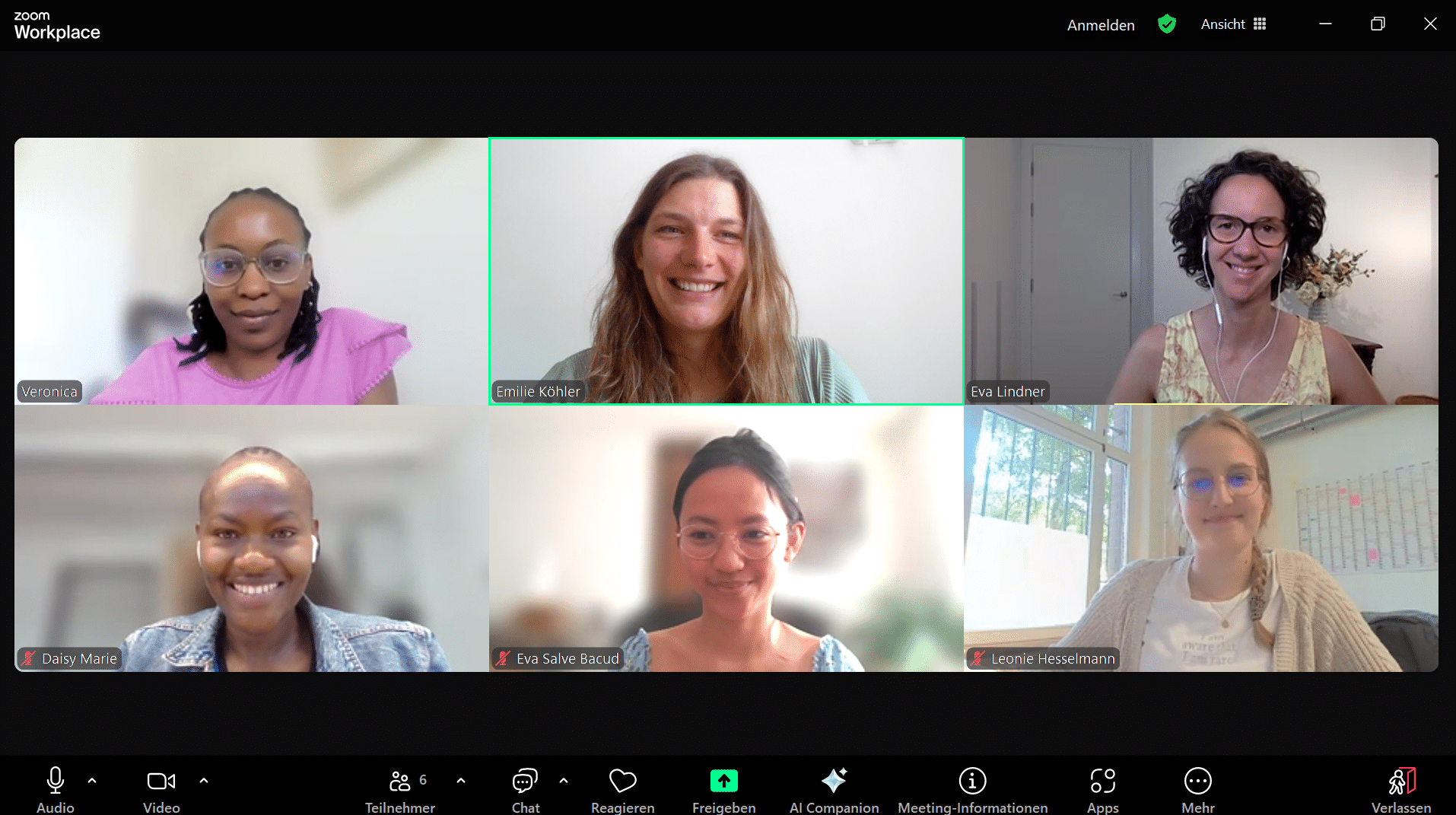 screenshot of the participants of a zoom meeting