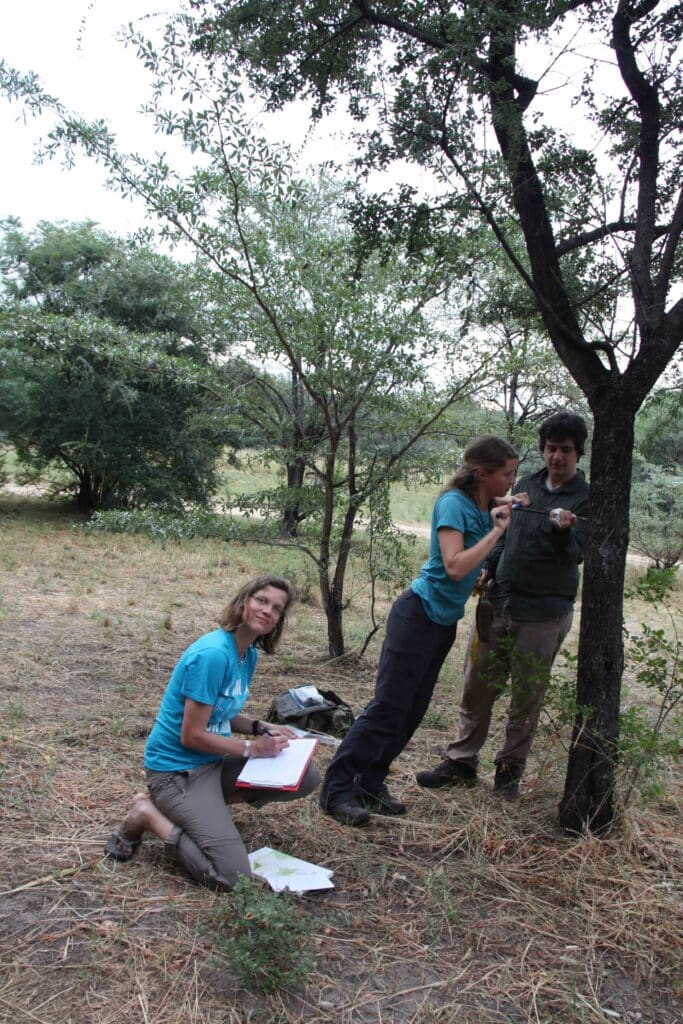 Wood Density Varies More Within Species than Previously Recognized, Global Analysis Shows 1 scientists collecting data in the field