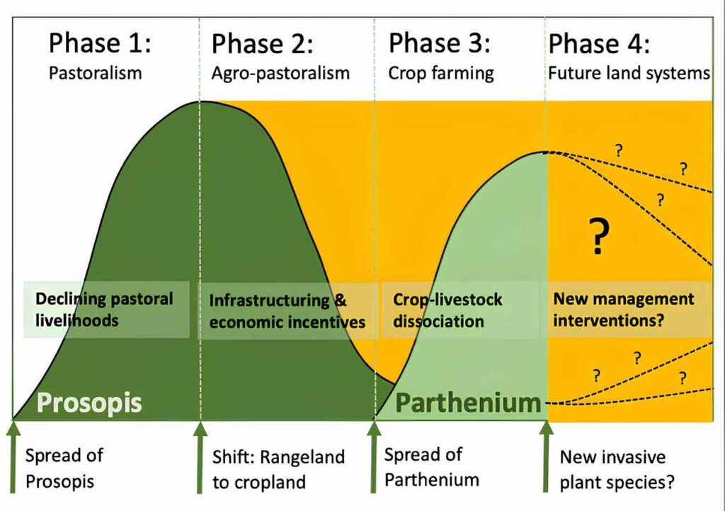 B01 Invasive Futures 1 B01 Phases of plant invasion in Baringo County Kenya and land use transitions past present future