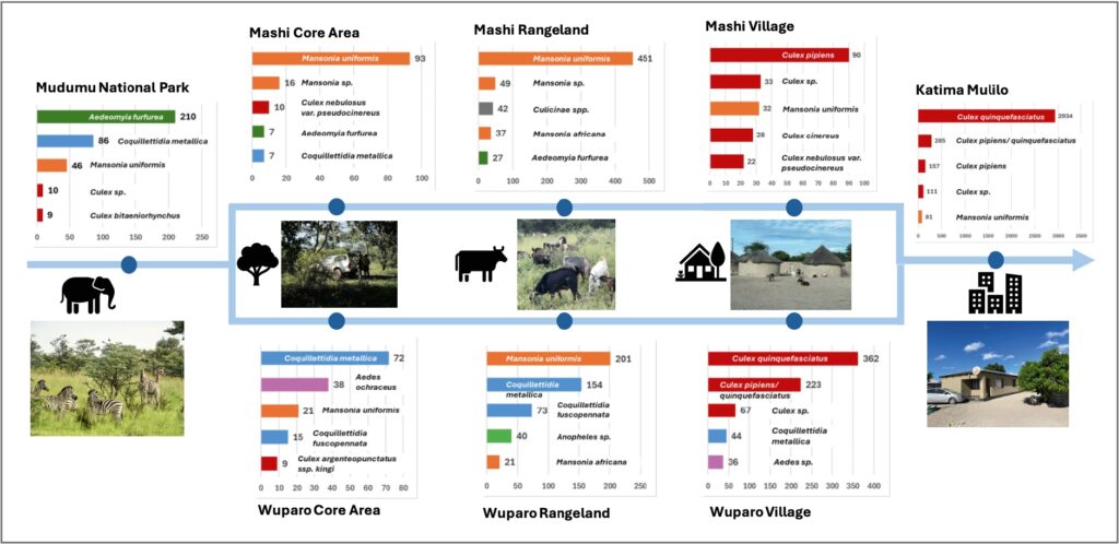 B02 Future Infections 2 B02 Overview