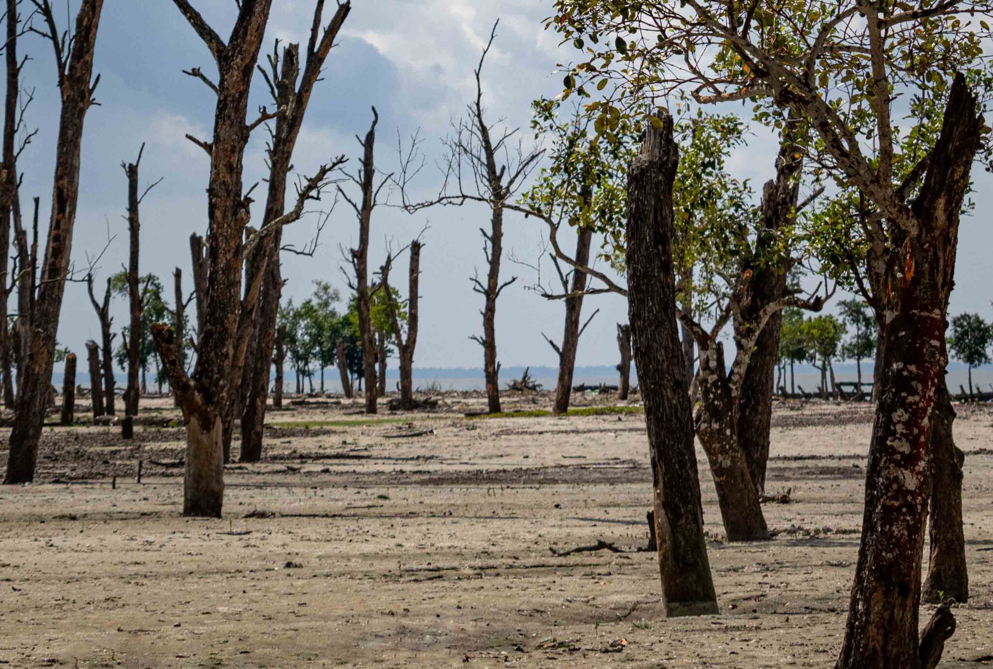 photograph of a desertificated landscape