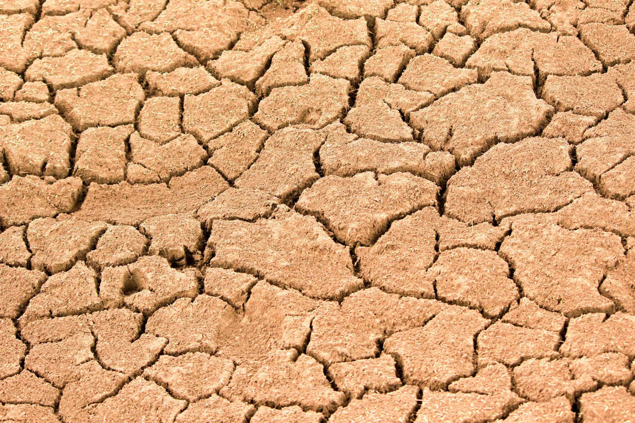 foto of dry soil