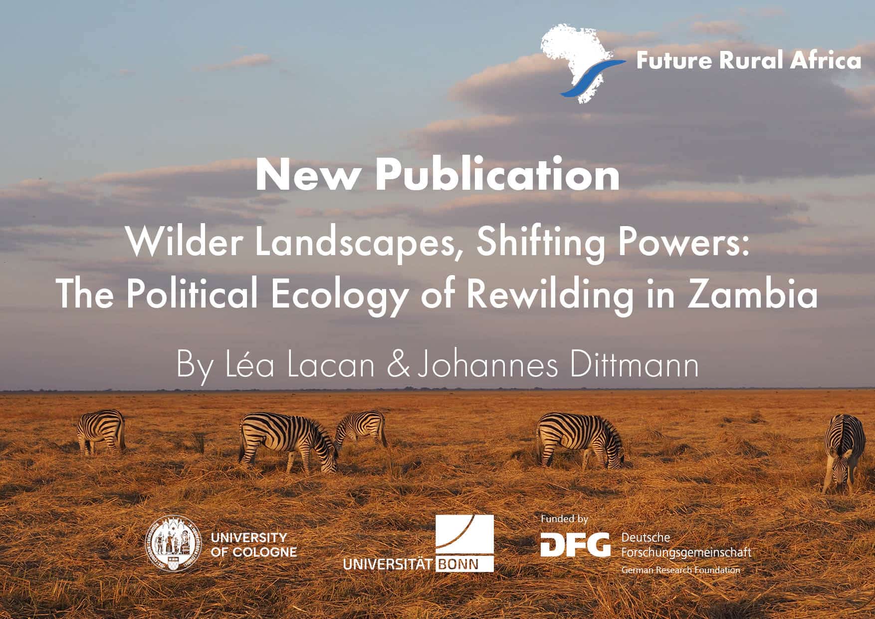 background: landscape with zebras in front: title and authors of academic publication