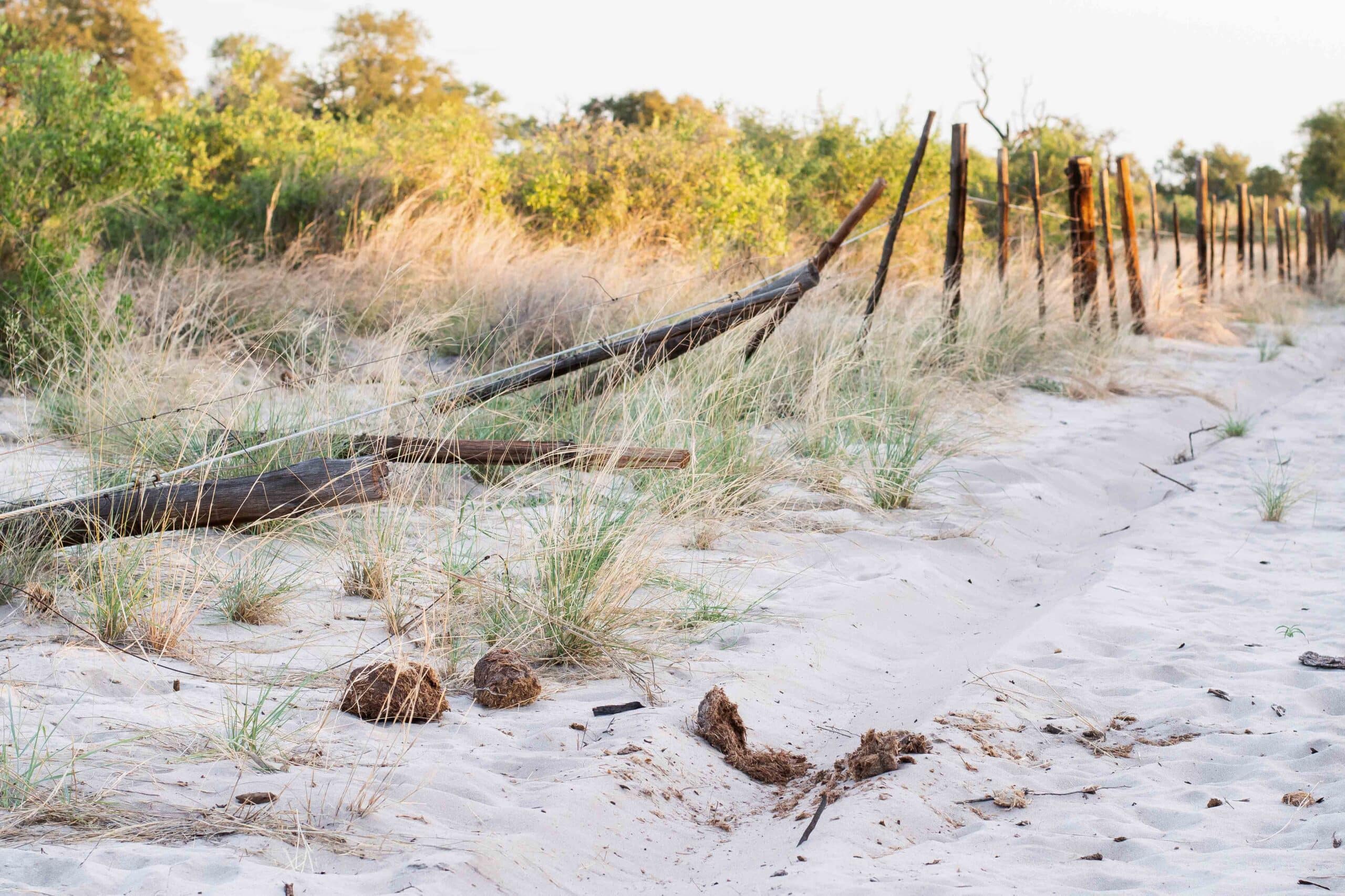 picture shows a semi demolished fence next to some bushes